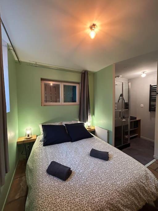 Le Cosy Balat Biel Rdc Jardin Spacieux Grisolles (Tarn-et-Garonne) Exterior foto